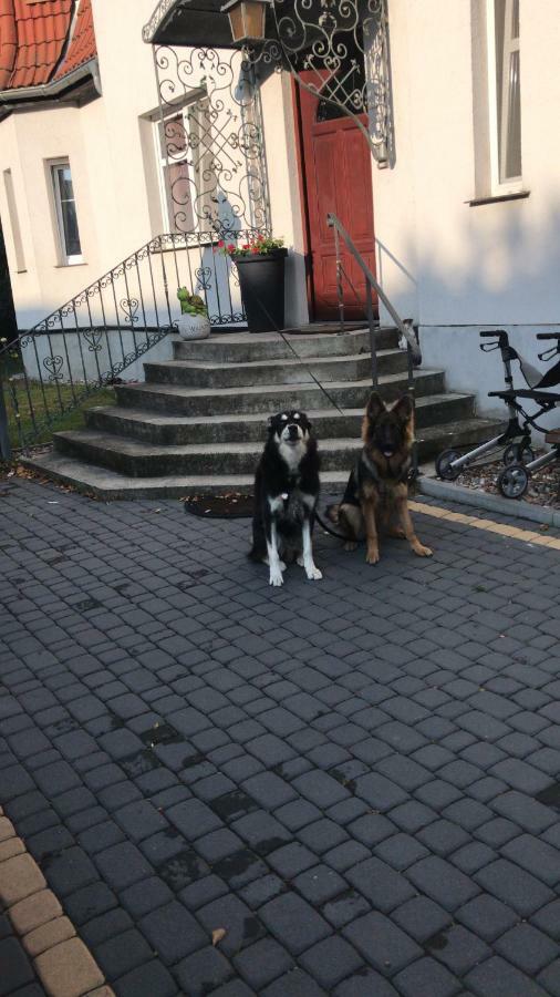Agnieszkas Pension Havelberg Kültér fotó